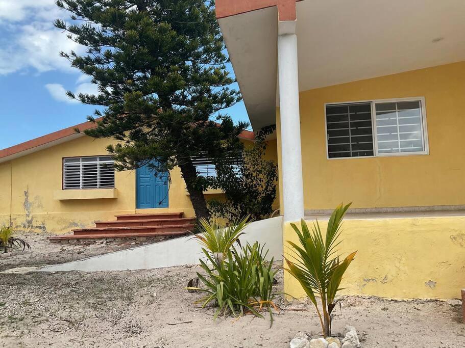 La Casa Amarilla Frente al Mar Chelem Exterior foto